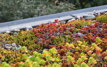 the cost of Drumboy green roof installation