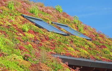 Drumboy living roof systems